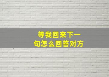 等我回来下一句怎么回答对方