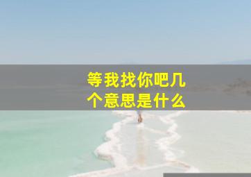 等我找你吧几个意思是什么