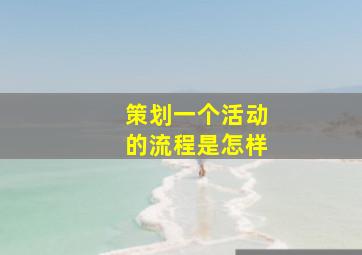 策划一个活动的流程是怎样