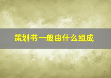 策划书一般由什么组成