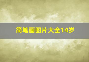 简笔画图片大全14岁