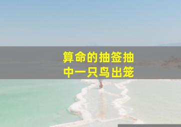 算命的抽签抽中一只鸟出笼