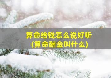 算命给钱怎么说好听(算命酬金叫什么)