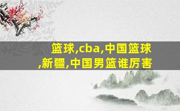 篮球,cba,中国篮球,新疆,中国男篮谁厉害