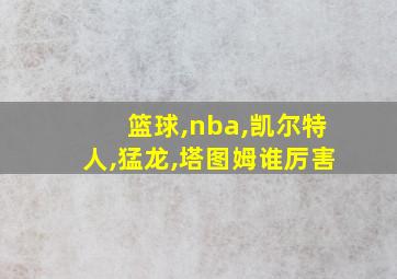 篮球,nba,凯尔特人,猛龙,塔图姆谁厉害