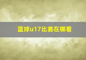 篮球u17比赛在哪看