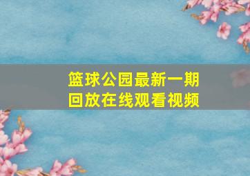 篮球公园最新一期回放在线观看视频