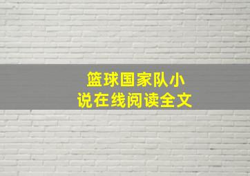 篮球国家队小说在线阅读全文