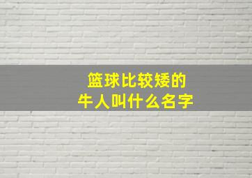 篮球比较矮的牛人叫什么名字