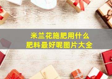 米兰花施肥用什么肥料最好呢图片大全