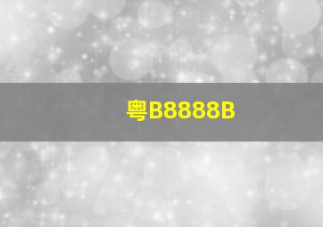 粤B8888B