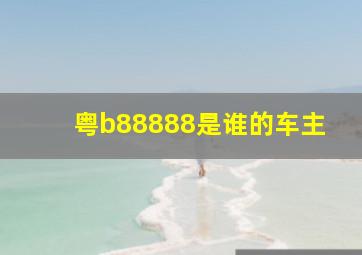 粤b88888是谁的车主