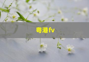 粤港fv