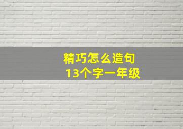 精巧怎么造句13个字一年级