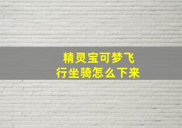 精灵宝可梦飞行坐骑怎么下来