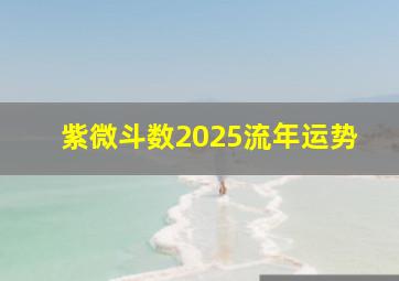 紫微斗数2025流年运势