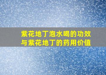 紫花地丁泡水喝的功效与紫花地丁的药用价值