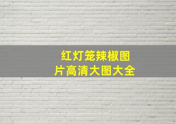 红灯笼辣椒图片高清大图大全