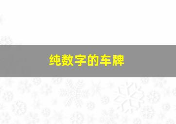 纯数字的车牌