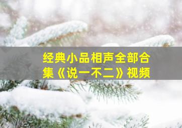 经典小品相声全部合集《说一不二》视频