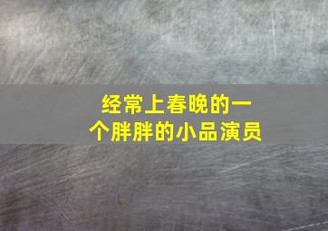 经常上春晚的一个胖胖的小品演员