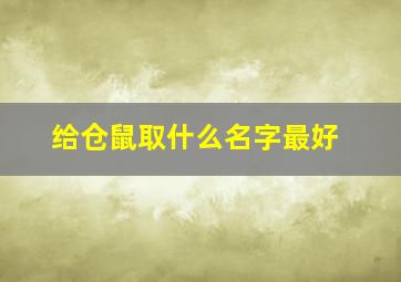 给仓鼠取什么名字最好