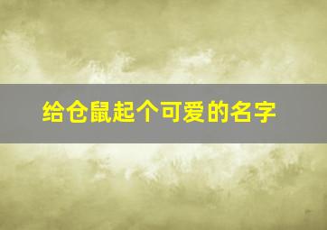 给仓鼠起个可爱的名字