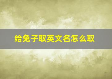 给兔子取英文名怎么取