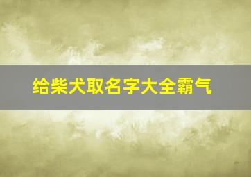 给柴犬取名字大全霸气