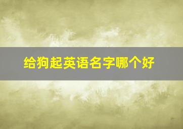 给狗起英语名字哪个好