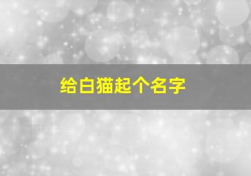 给白猫起个名字