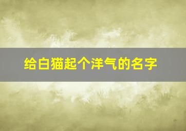 给白猫起个洋气的名字