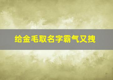 给金毛取名字霸气又拽