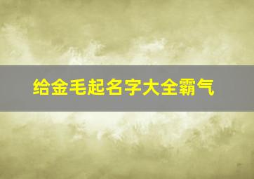 给金毛起名字大全霸气