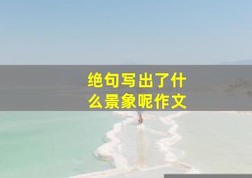 绝句写出了什么景象呢作文