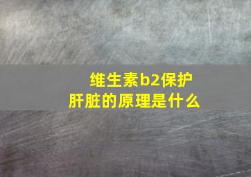 维生素b2保护肝脏的原理是什么