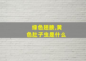 绿色翅膀,黄色肚子虫是什么