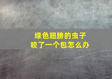 绿色翅膀的虫子咬了一个包怎么办