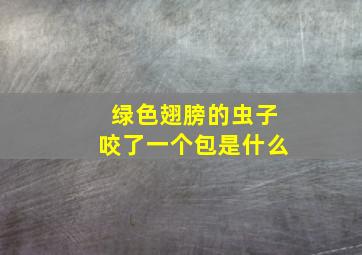 绿色翅膀的虫子咬了一个包是什么