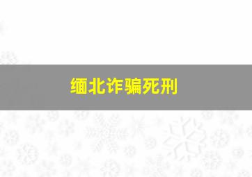 缅北诈骗死刑