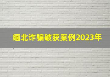 缅北诈骗破获案例2023年