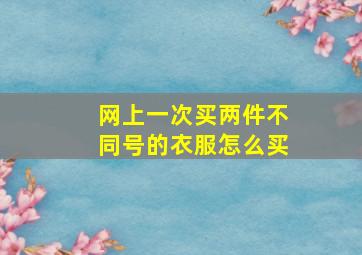 网上一次买两件不同号的衣服怎么买