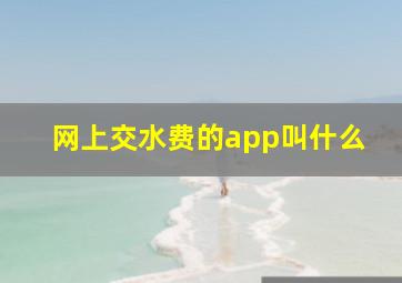 网上交水费的app叫什么