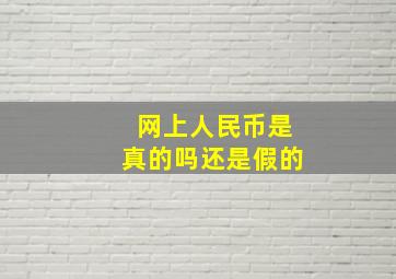 网上人民币是真的吗还是假的