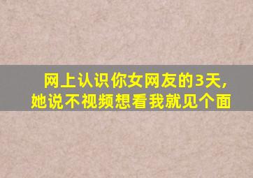 网上认识你女网友的3天,她说不视频想看我就见个面