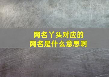 网名丫头对应的网名是什么意思啊