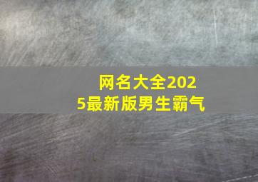 网名大全2025最新版男生霸气