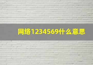 网络1234569什么意思