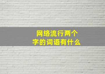 网络流行两个字的词语有什么