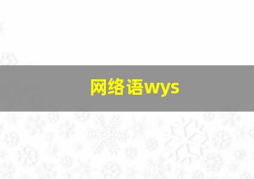 网络语wys